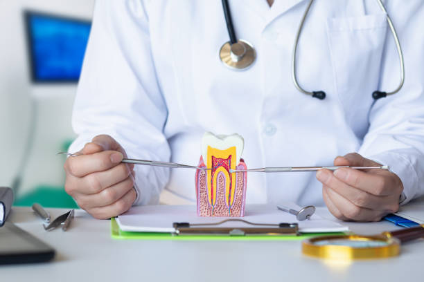 Best Emergency Treatment for Jaw Pain or Injury in Wekiwa Springs, FL